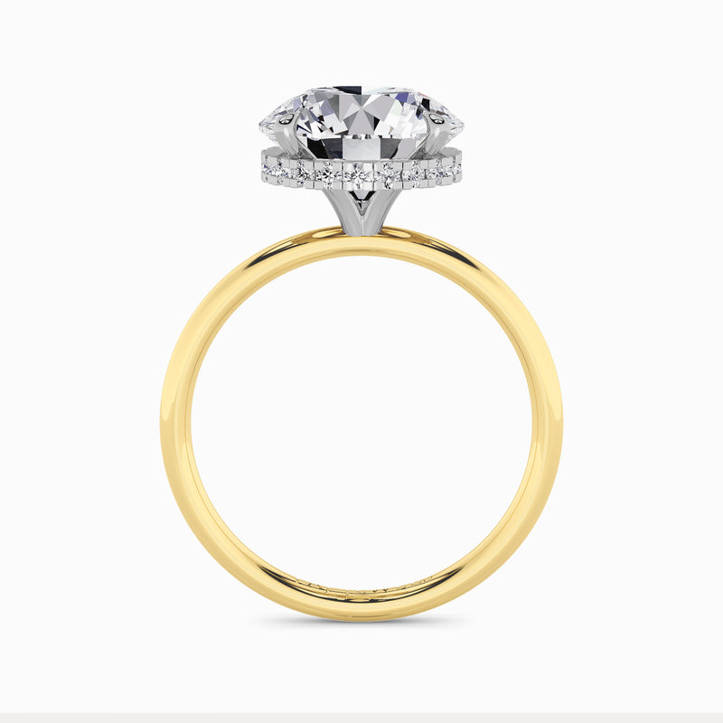 Round Brilliant Cut Solitaire Plain Band Lab Diamond Engagement Ring (Floating Head) (1ct+)